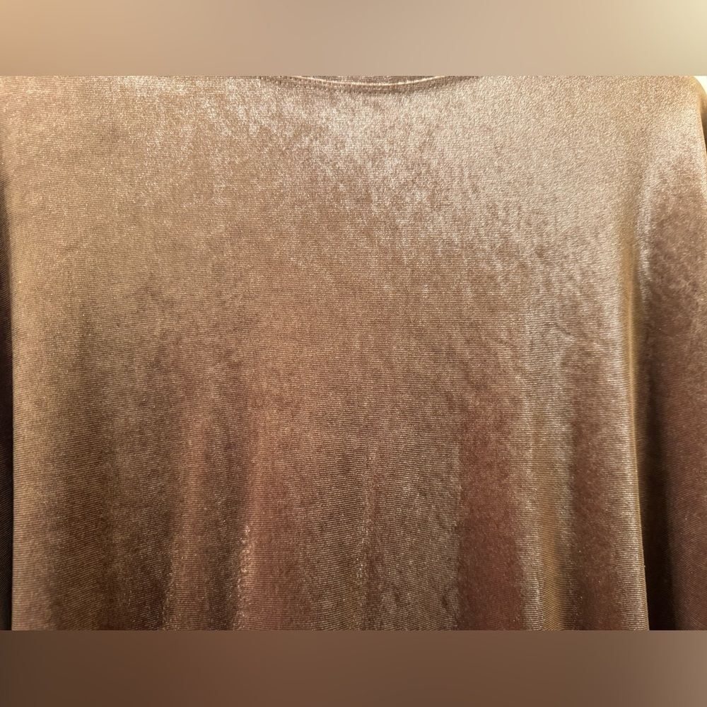 NWOT Zara Collection Brown Velvet Straight Dress - Picture 4 of 8